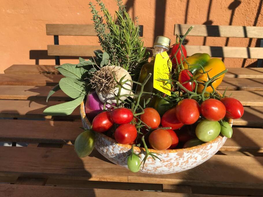 Agriturismo Il Sorbino - Appartamento Da Cocca Pian d'Alma Екстериор снимка