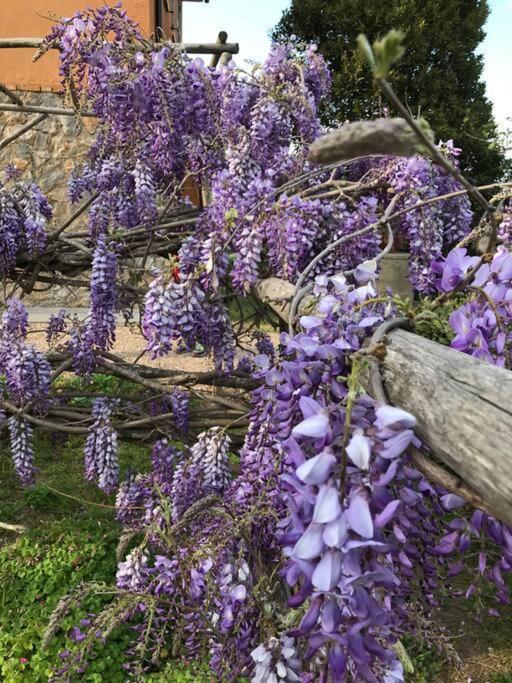 Agriturismo Il Sorbino - Appartamento Da Cocca Pian d'Alma Екстериор снимка